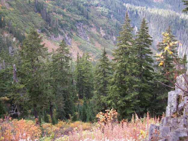 Taken on Mount Baker