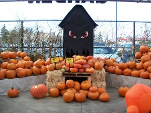 Fred Meyer Holiday Pumpkin Patch